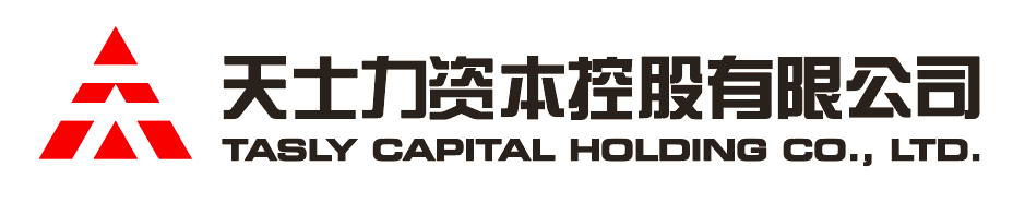 tgpay资本控股有限公司